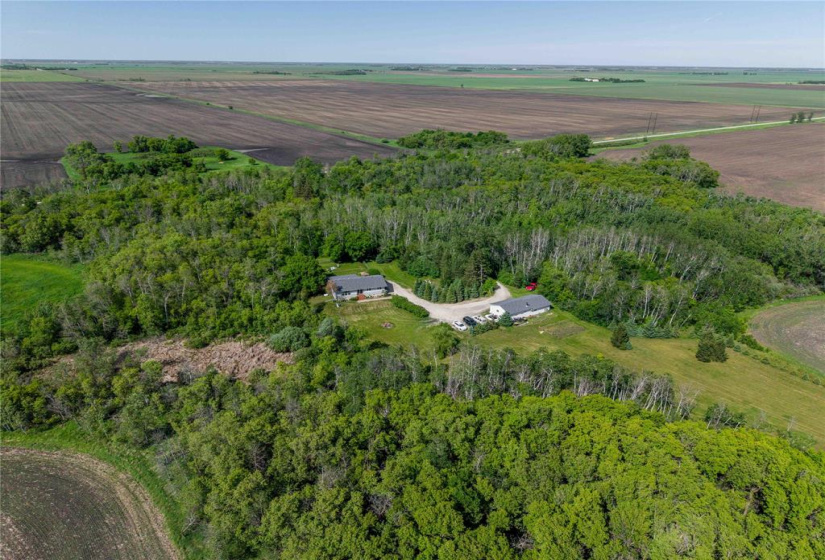 10098 74NW, 4 Bedrooms Bedrooms, 11 Rooms Rooms,2 BathroomsBathrooms,Residential,For Sale,74NW