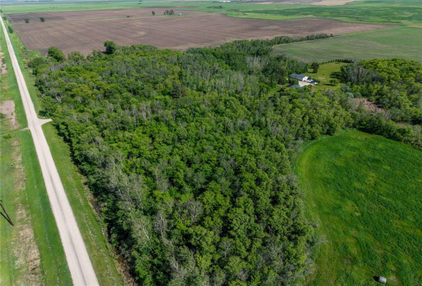 10098 74NW, 4 Bedrooms Bedrooms, 11 Rooms Rooms,2 BathroomsBathrooms,Residential,For Sale,74NW