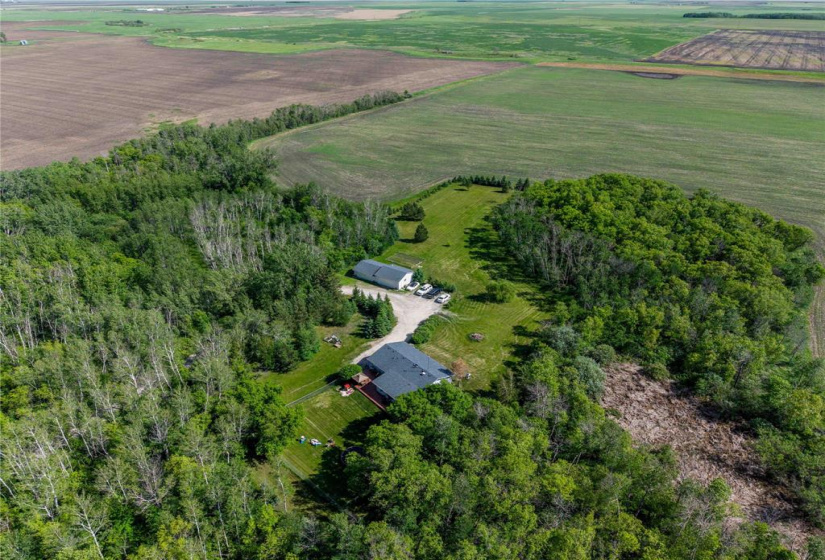 10098 74NW, 4 Bedrooms Bedrooms, 11 Rooms Rooms,2 BathroomsBathrooms,Residential,For Sale,74NW