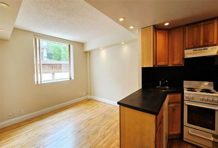 Kitchen/Living room