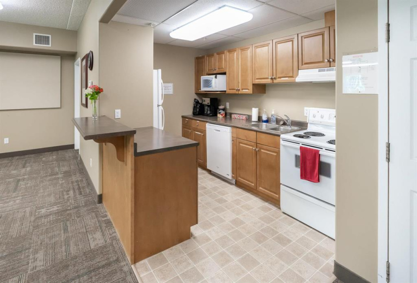 Party room kitchen