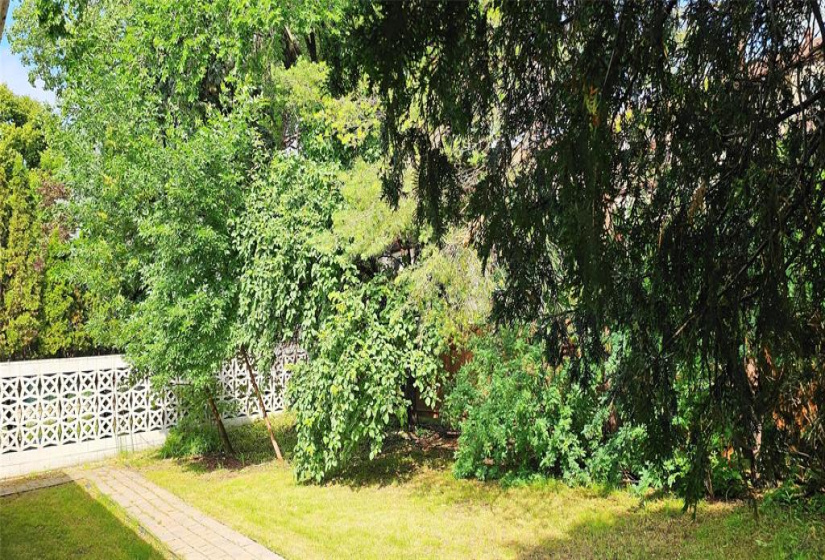 149 Thatcher, 7 Bedrooms Bedrooms, 16 Rooms Rooms,3 BathroomsBathrooms,Residential,For Sale,Thatcher