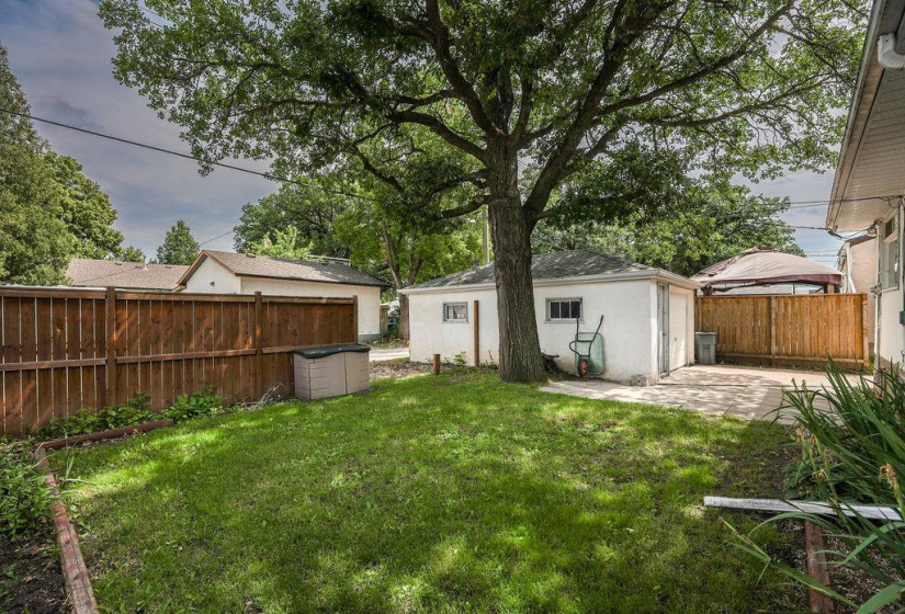 435 Lyle, 3 Bedrooms Bedrooms, 9 Rooms Rooms,1 BathroomBathrooms,Residential,For Sale,Lyle
