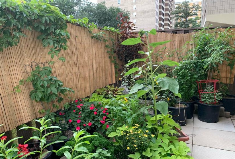 246 Roslyn, 2 Bedroom Bedrooms, 8 Room Rooms,1 BathroomBathrooms,Condominium,For Sale,Roslyn,0