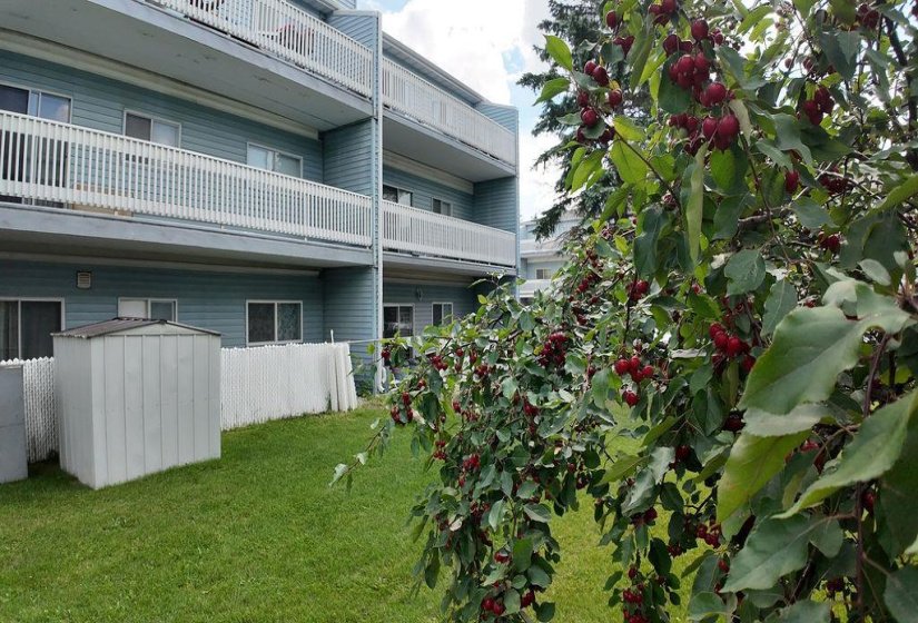 193 Watson, 2 Bedroom Bedrooms, 8 Room Rooms,1 BathroomBathrooms,Condominium,For Sale,Watson,0