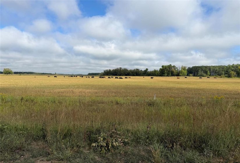 23092 5N, 2 Bedroom Bedrooms, 6 Room Rooms,1 BathroomBathrooms,Residential,For Sale,5N,0